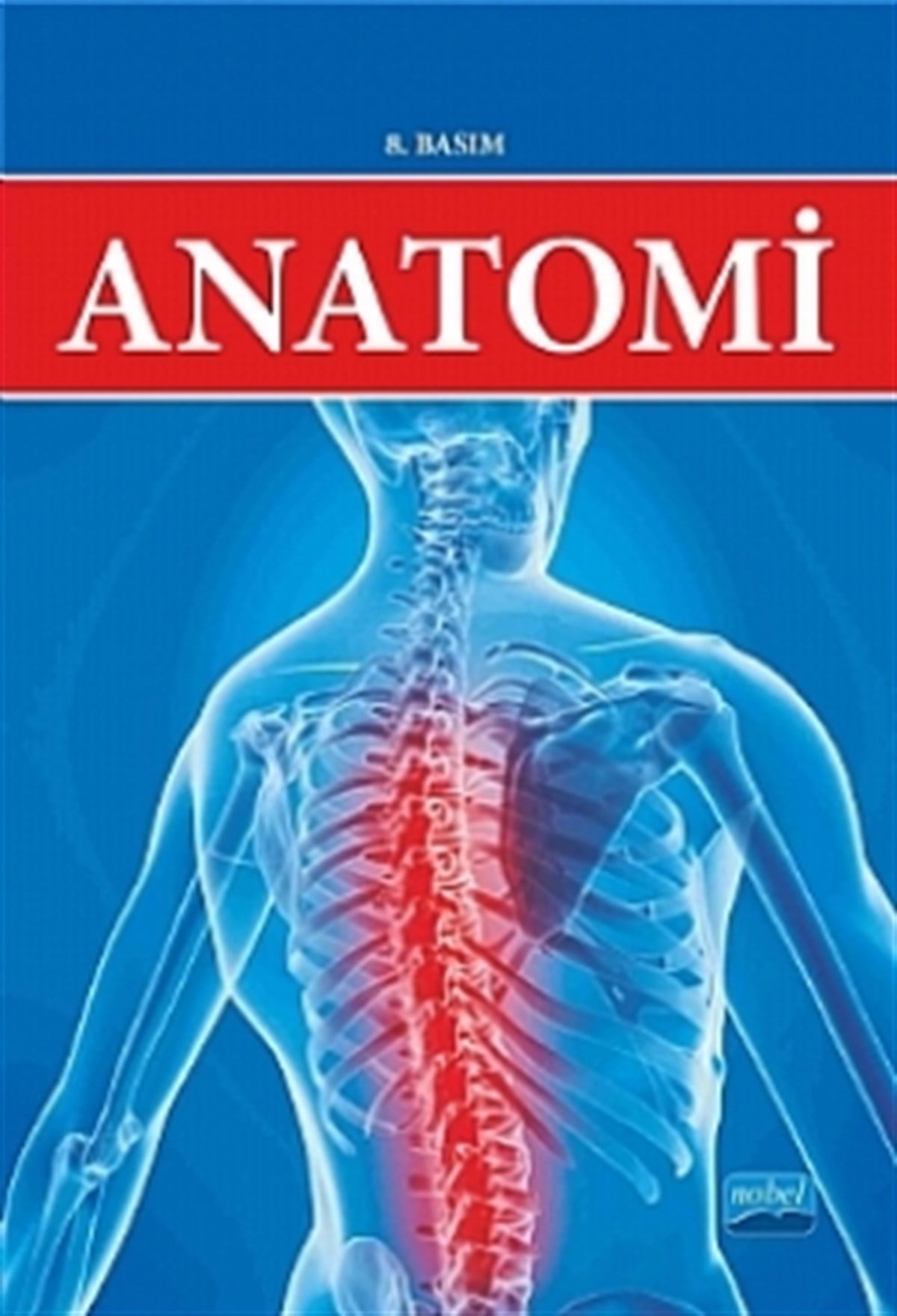 Anatomi