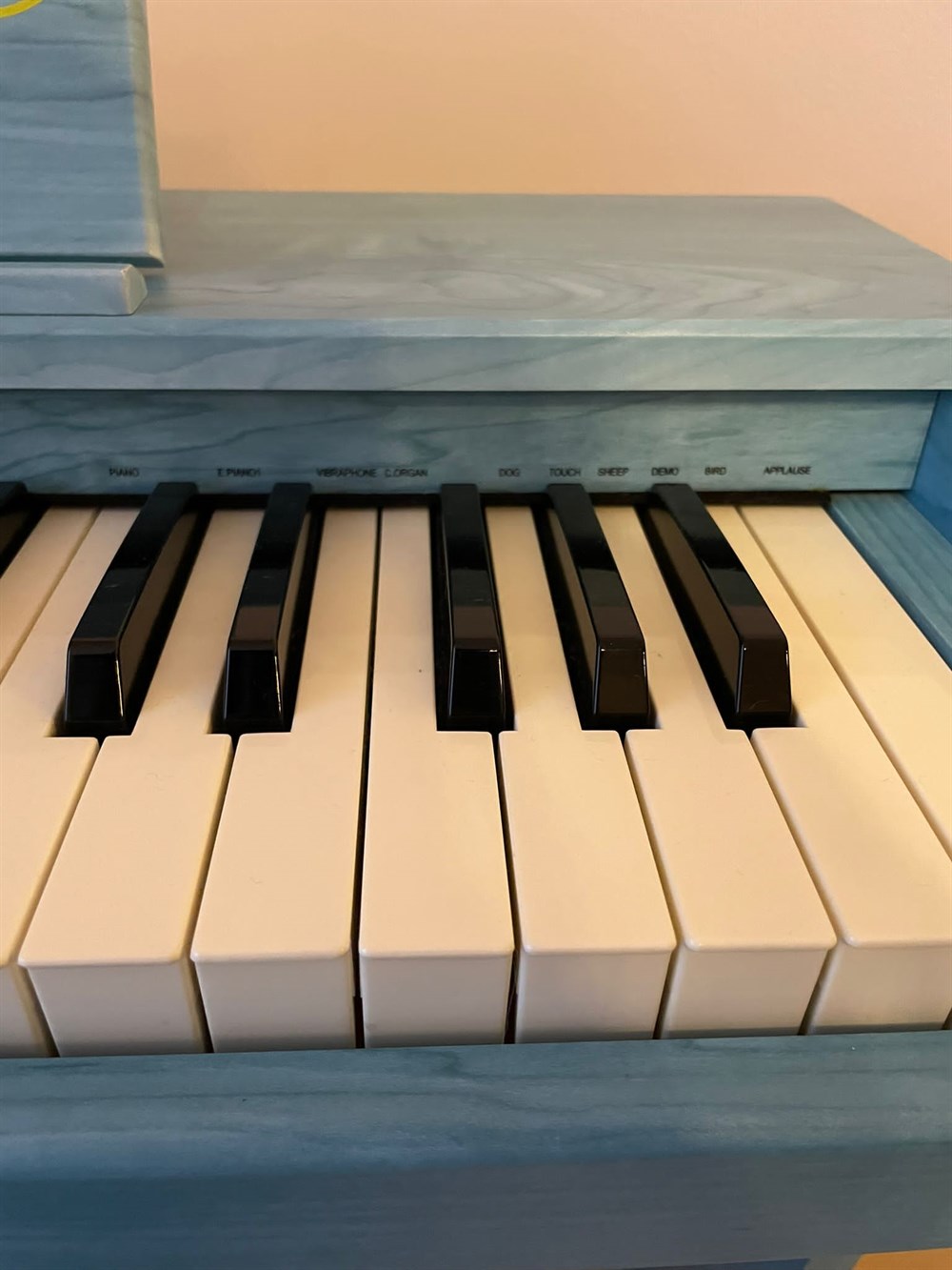 Artesia FUN-1 61-Key Childrens Digital Piano Mavi Dijital Çocuk Piyanosu , Artesia , Müptela Dükkan , 2433210139235 ,