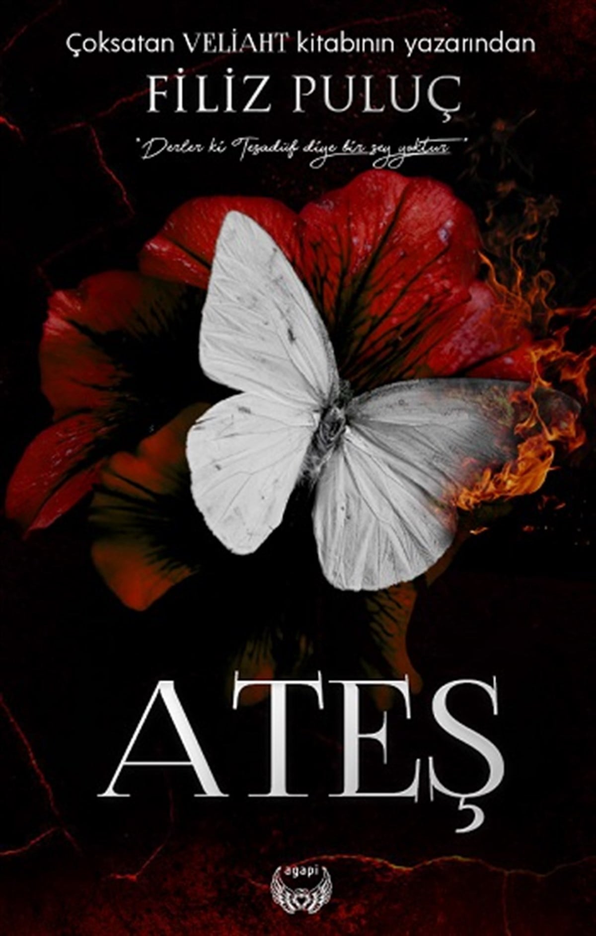 Ateş
