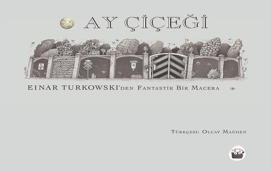 Ay Çiçeği