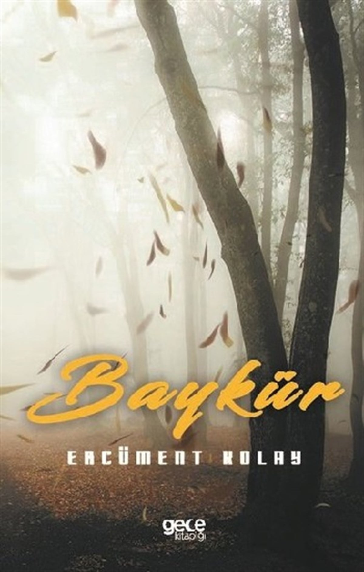 Baykür