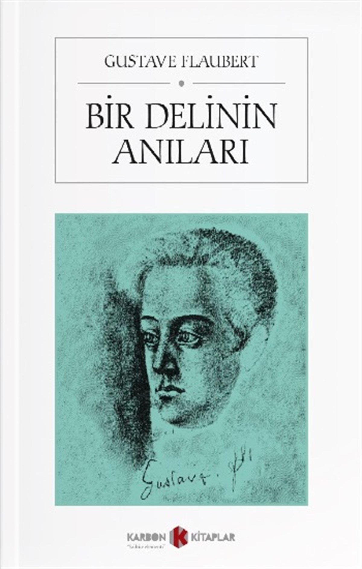 Bir Delinin Anıları