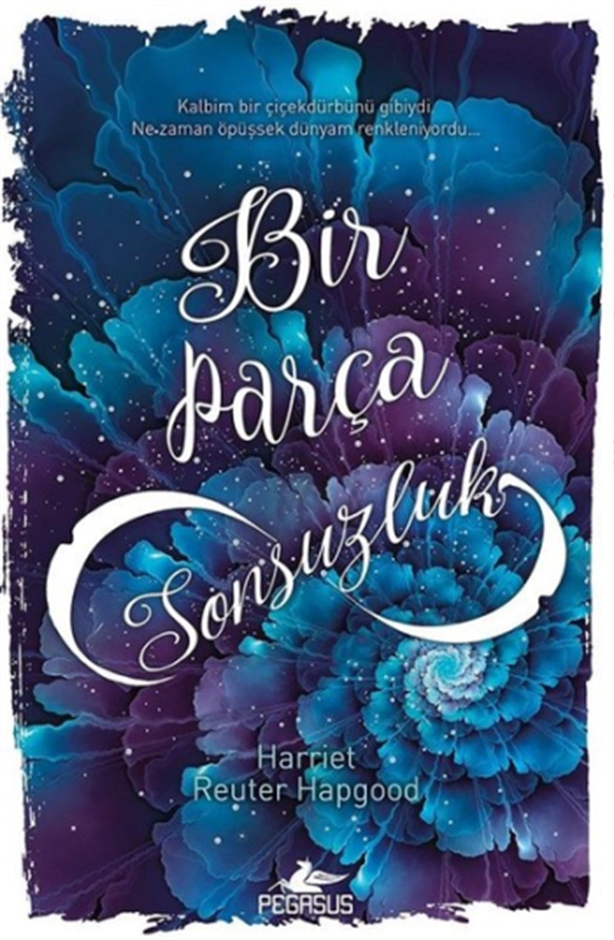 Bir Parça Sonsuzluk (Ciltli)