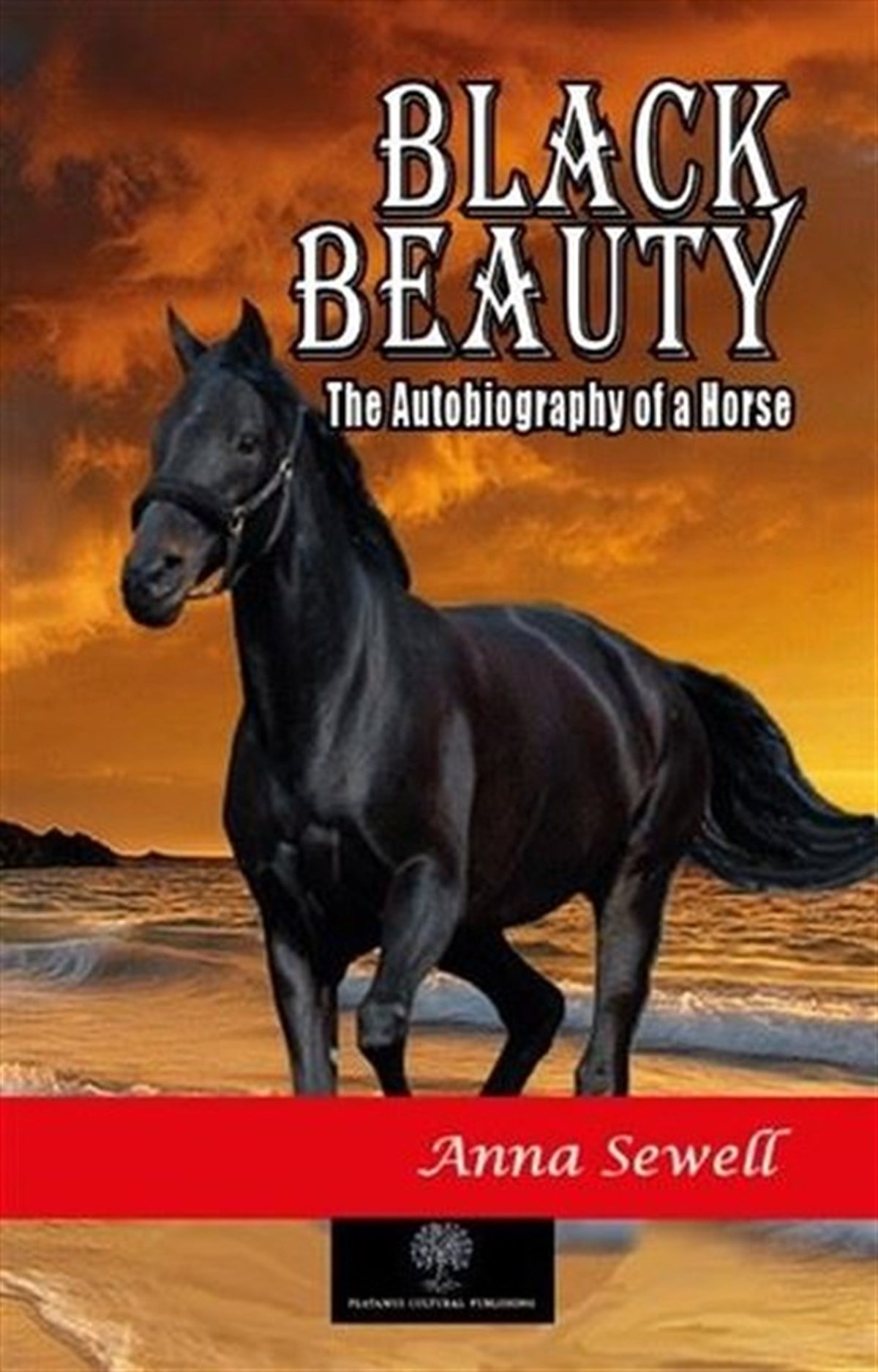 Black Beauty