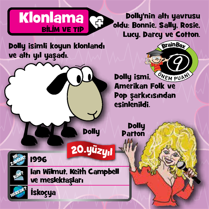 BrainBox İcatlar TÜRKÇE