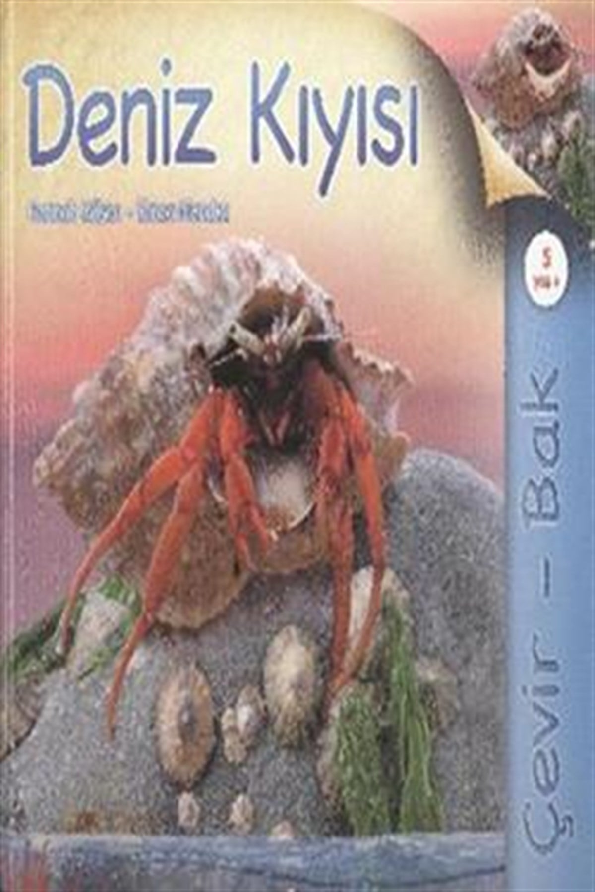 Çevir Bak - Deniz Kıyısı