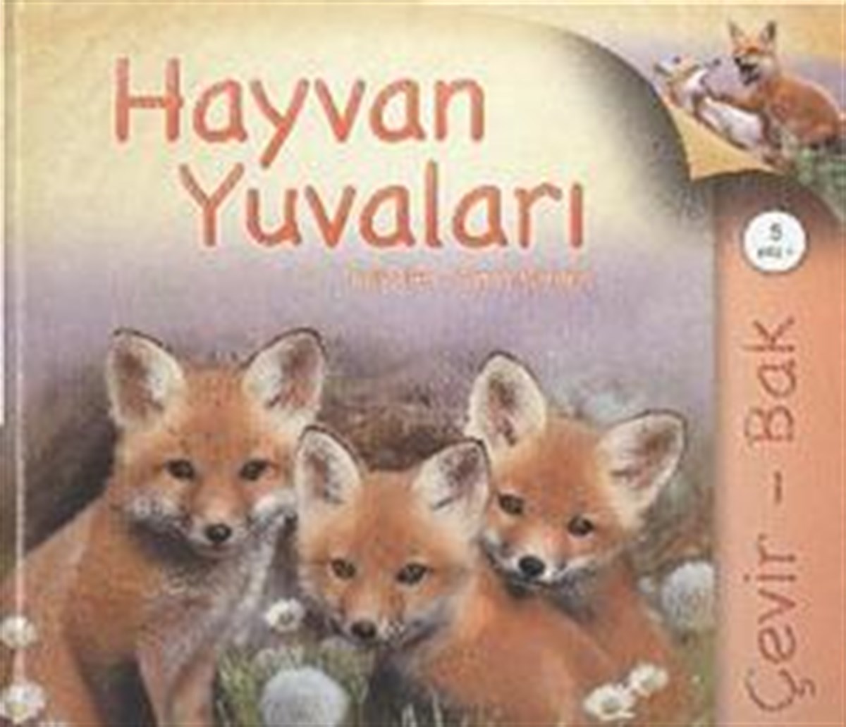 Çevir Bak Hayvan Yuvaları