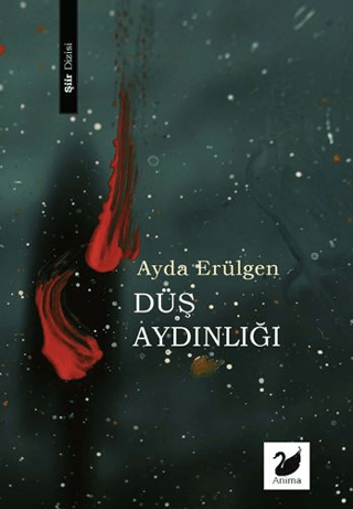 Düş Aydınlığı