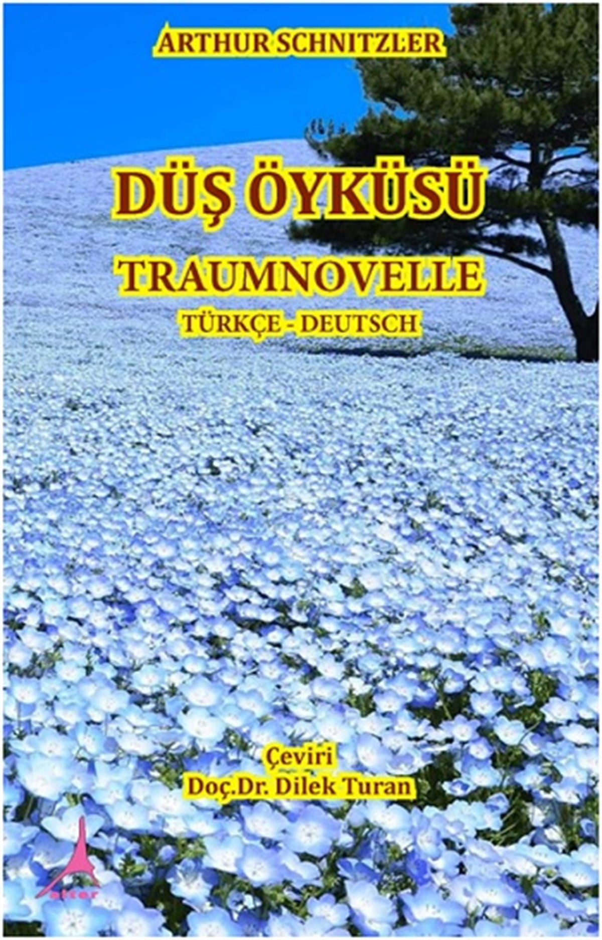 Düş Öyküsü