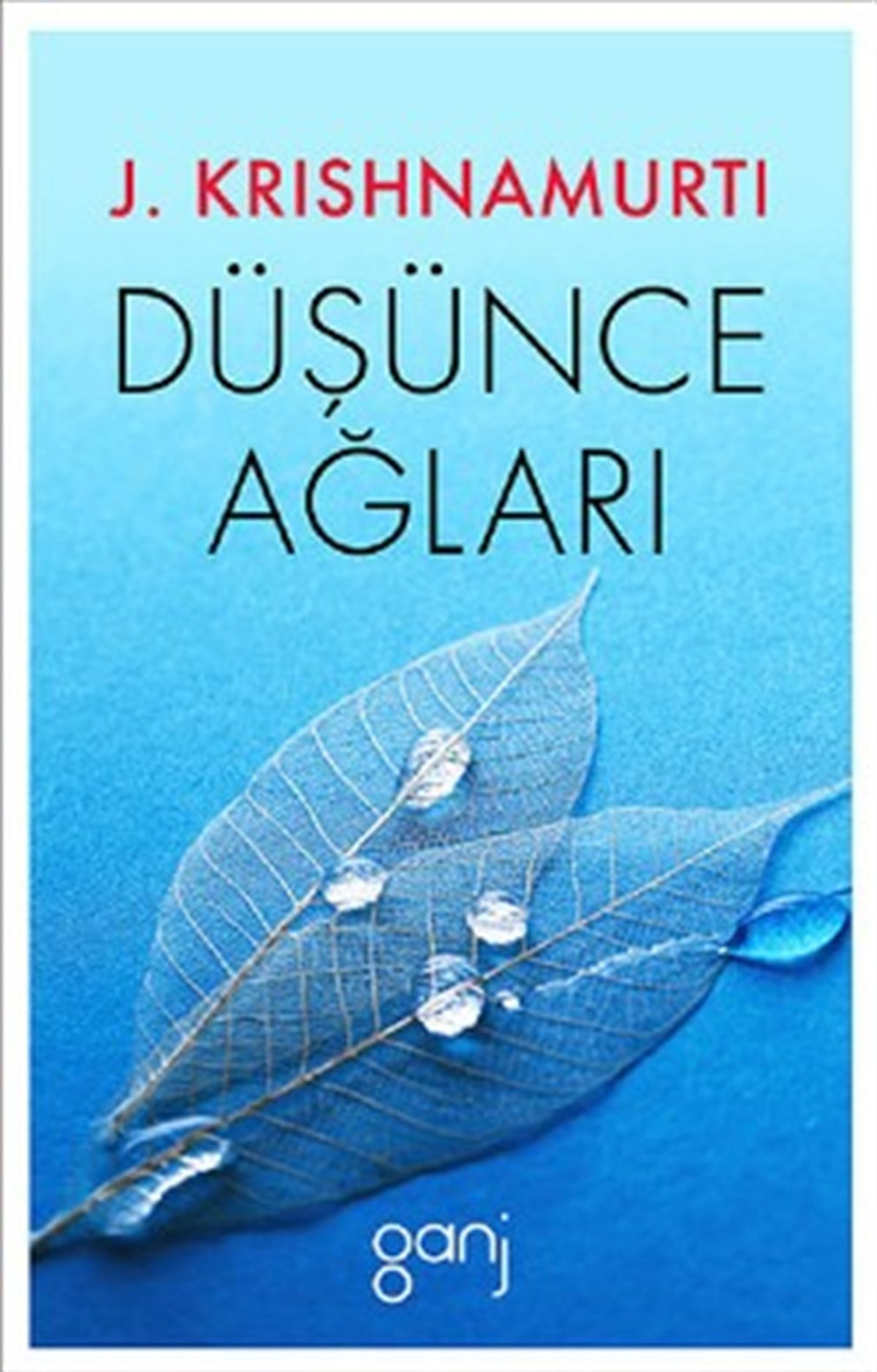 Düşünce Ağları