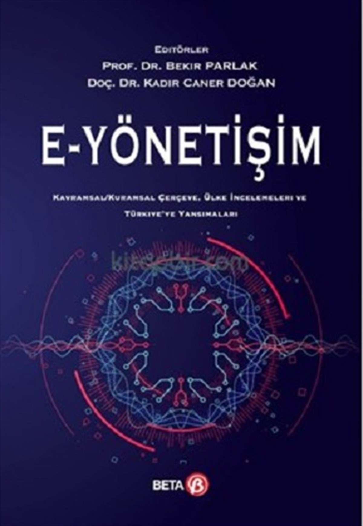 E - Yönetişim