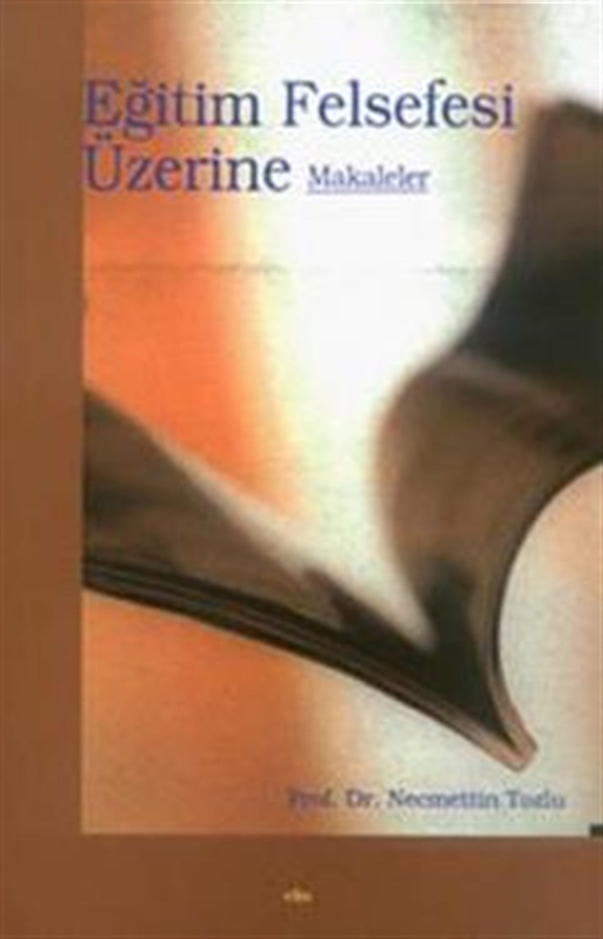 Eğitim Felsefesi Üzerine Makaleler