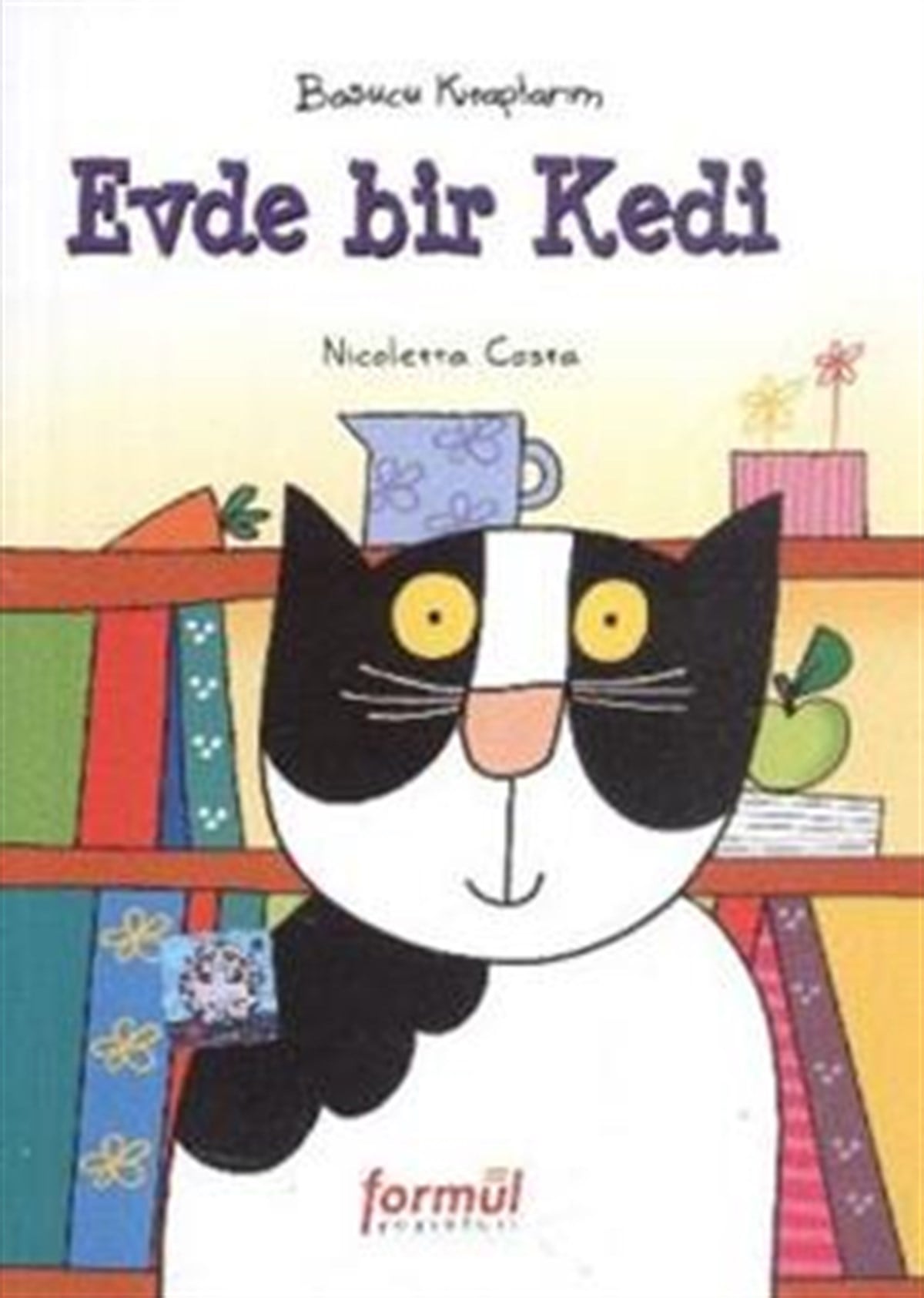 Evde Bir Kedi