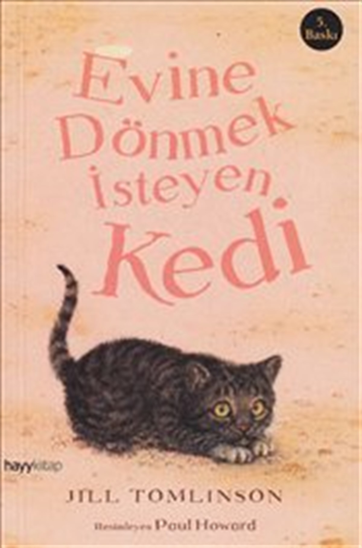 Evine Dönmek İsteyen Kedi