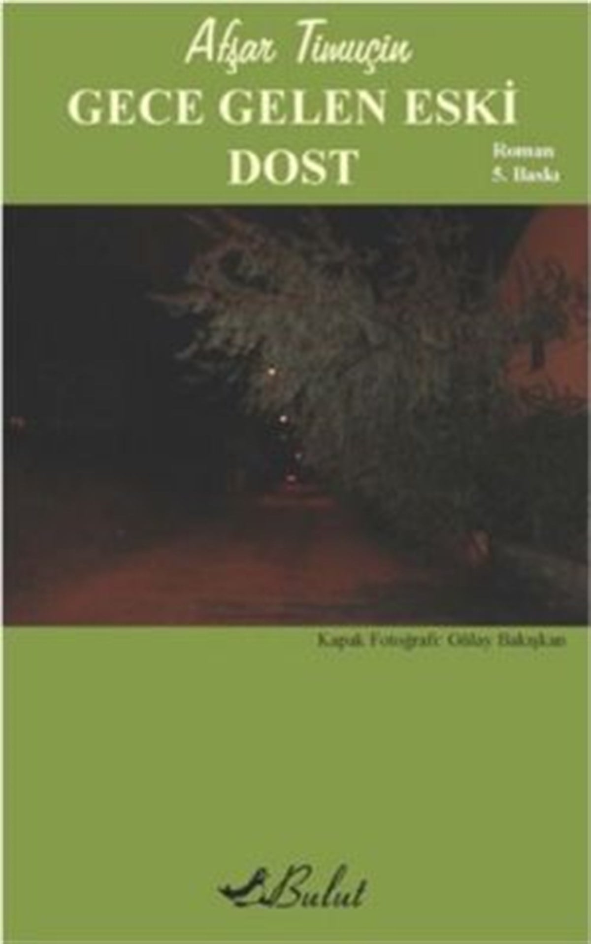 Gece Gelen Eski Dost