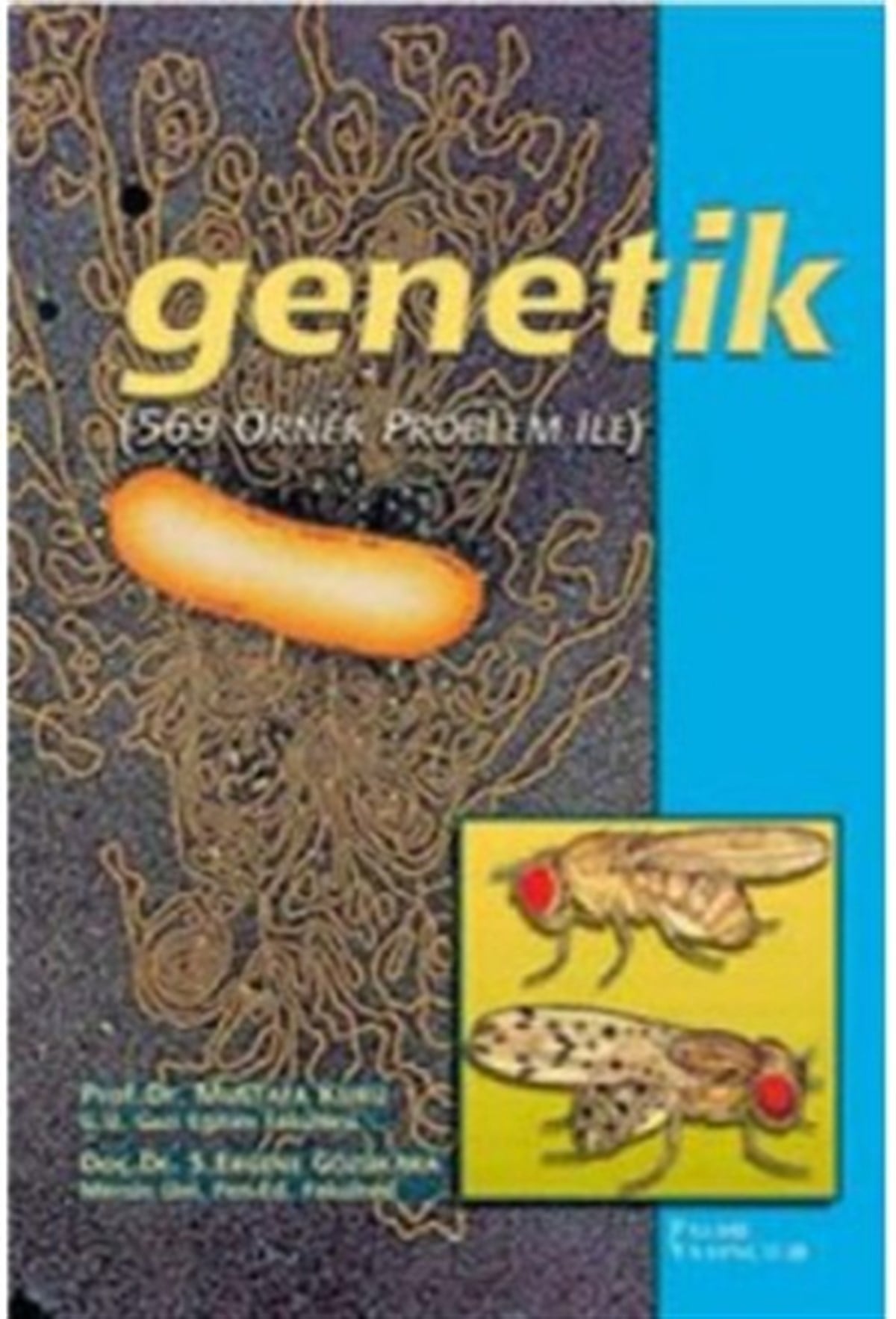 Genetik Örnek Problemlerle