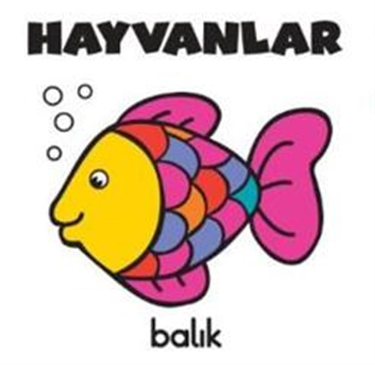 Hayvanlar - Balık