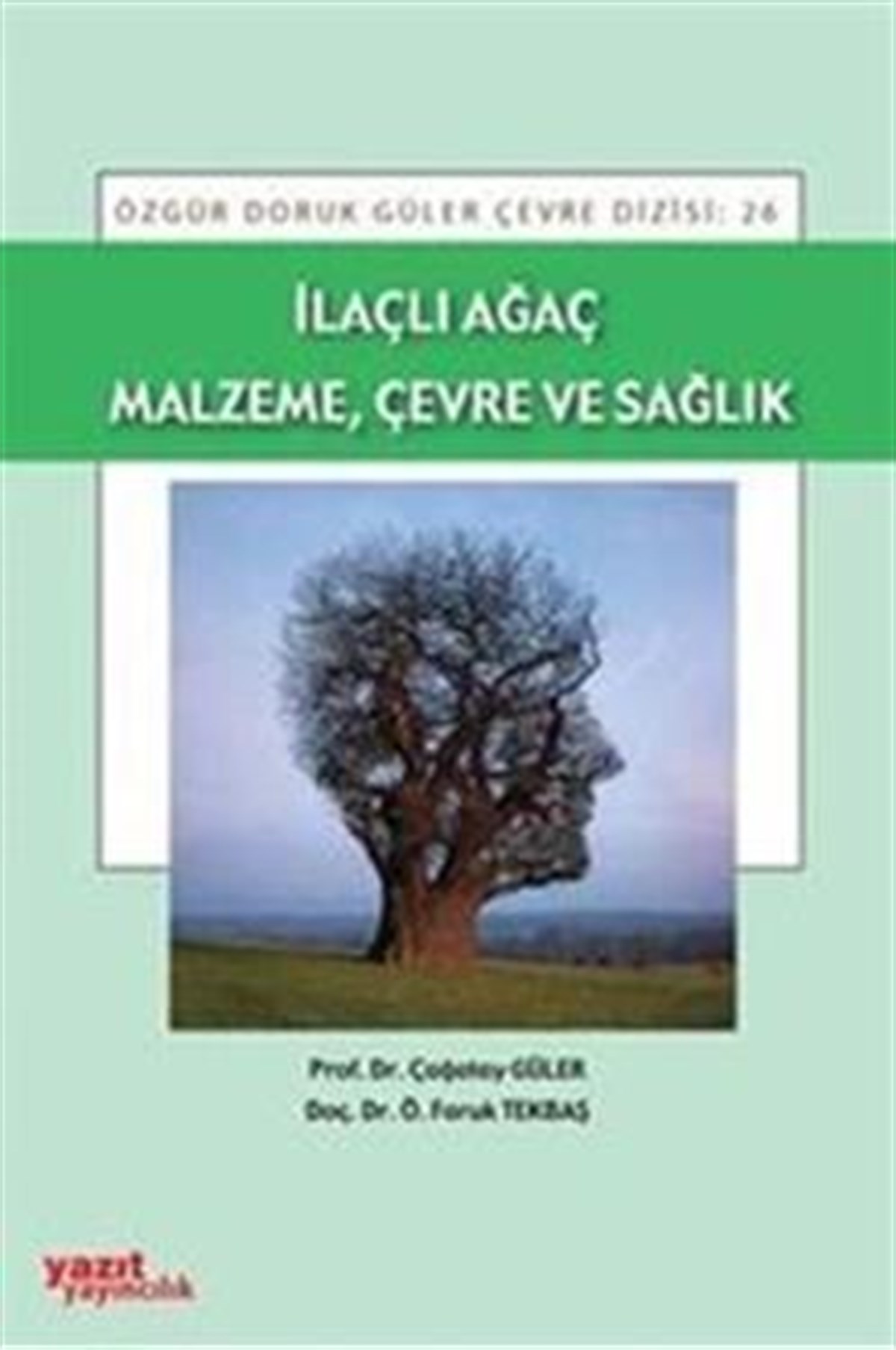 İlaçlı Ağaç Malzeme, Çevre ve Sağlık