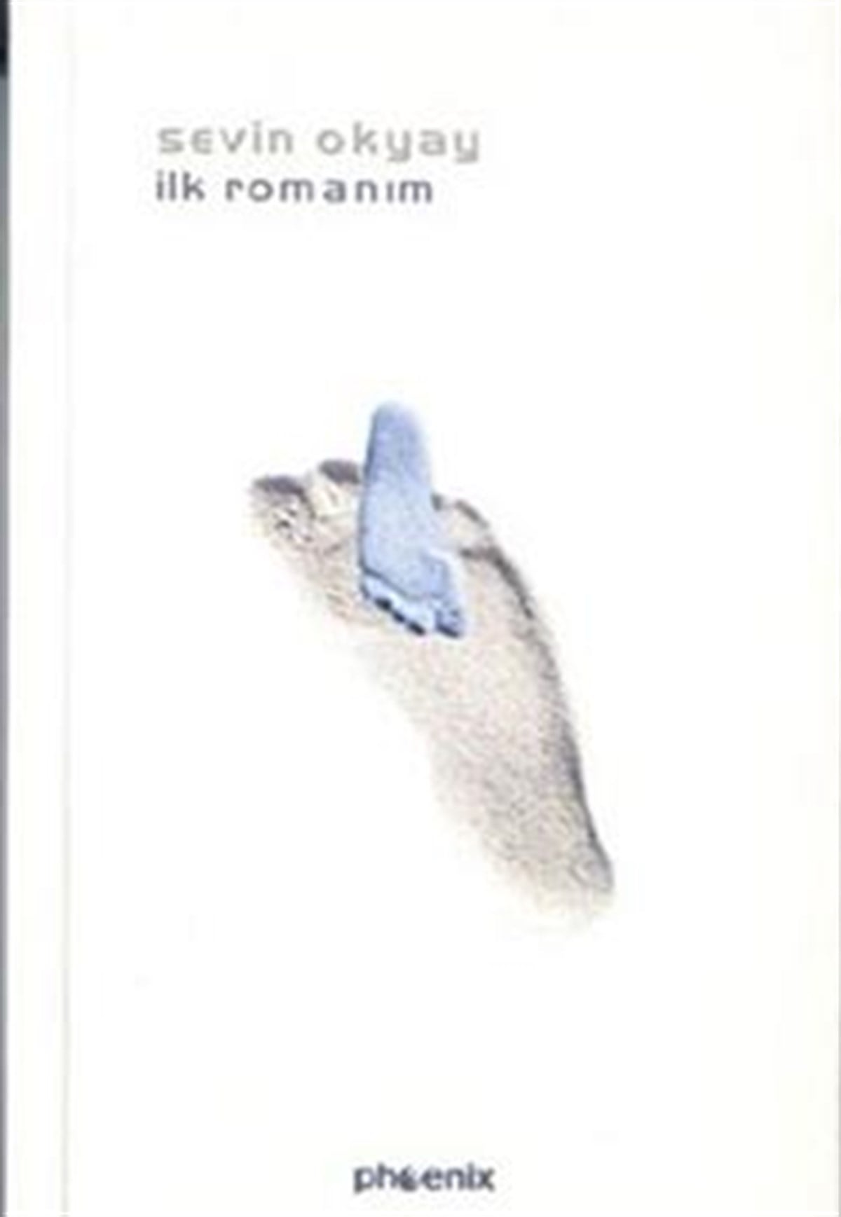 İlk Romanım