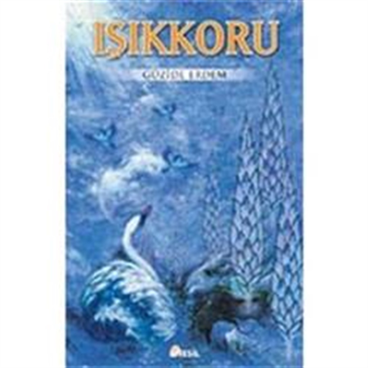 Işıkkoru
