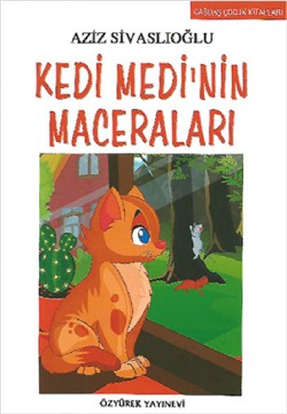 Kedi Medi’nin Maceraları