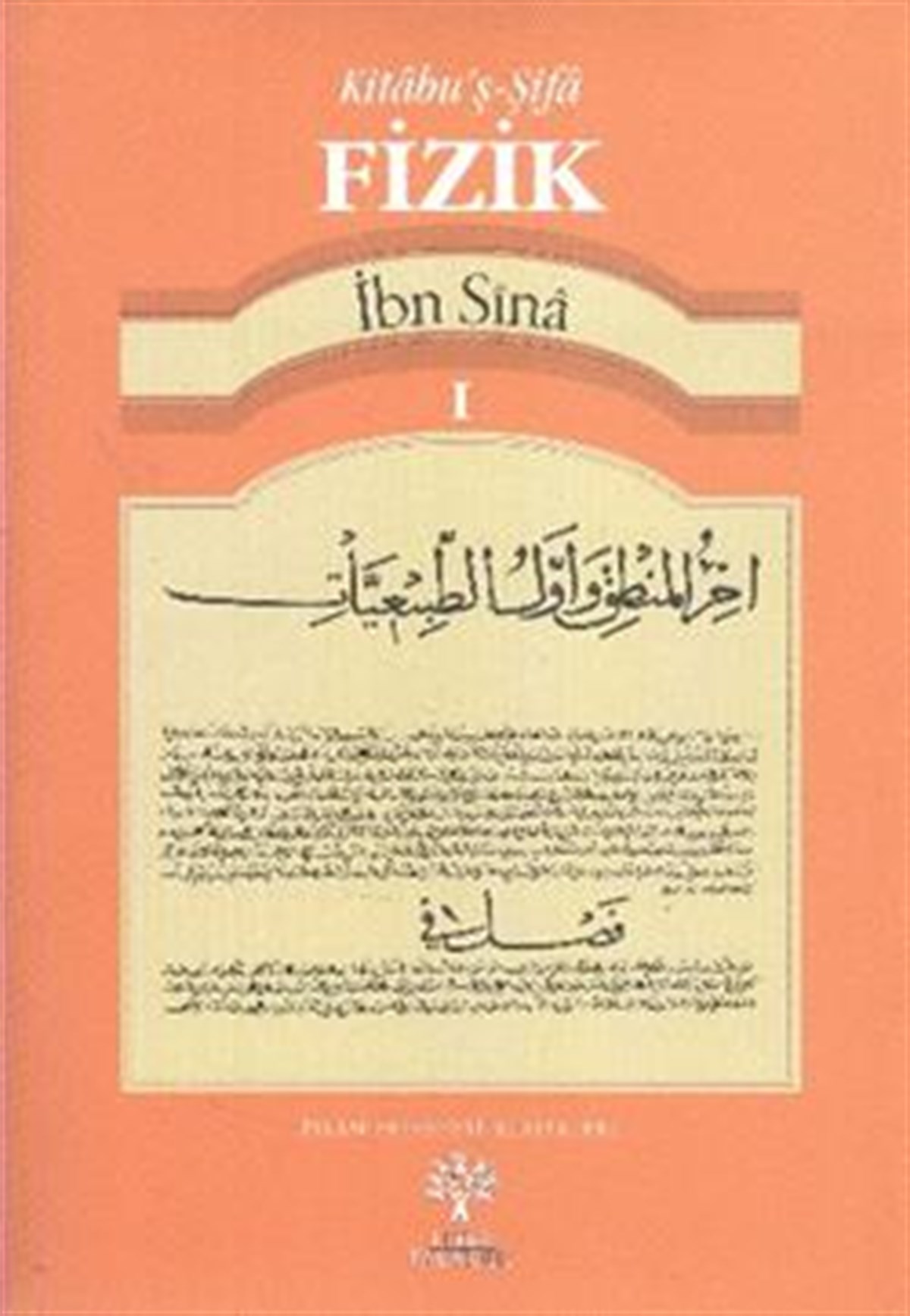 Kitabu'ş-Şifa Fizik 1