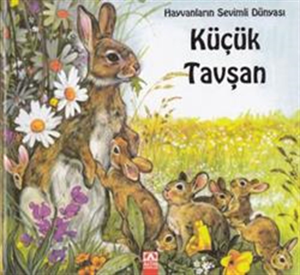 Küçük Tavşan