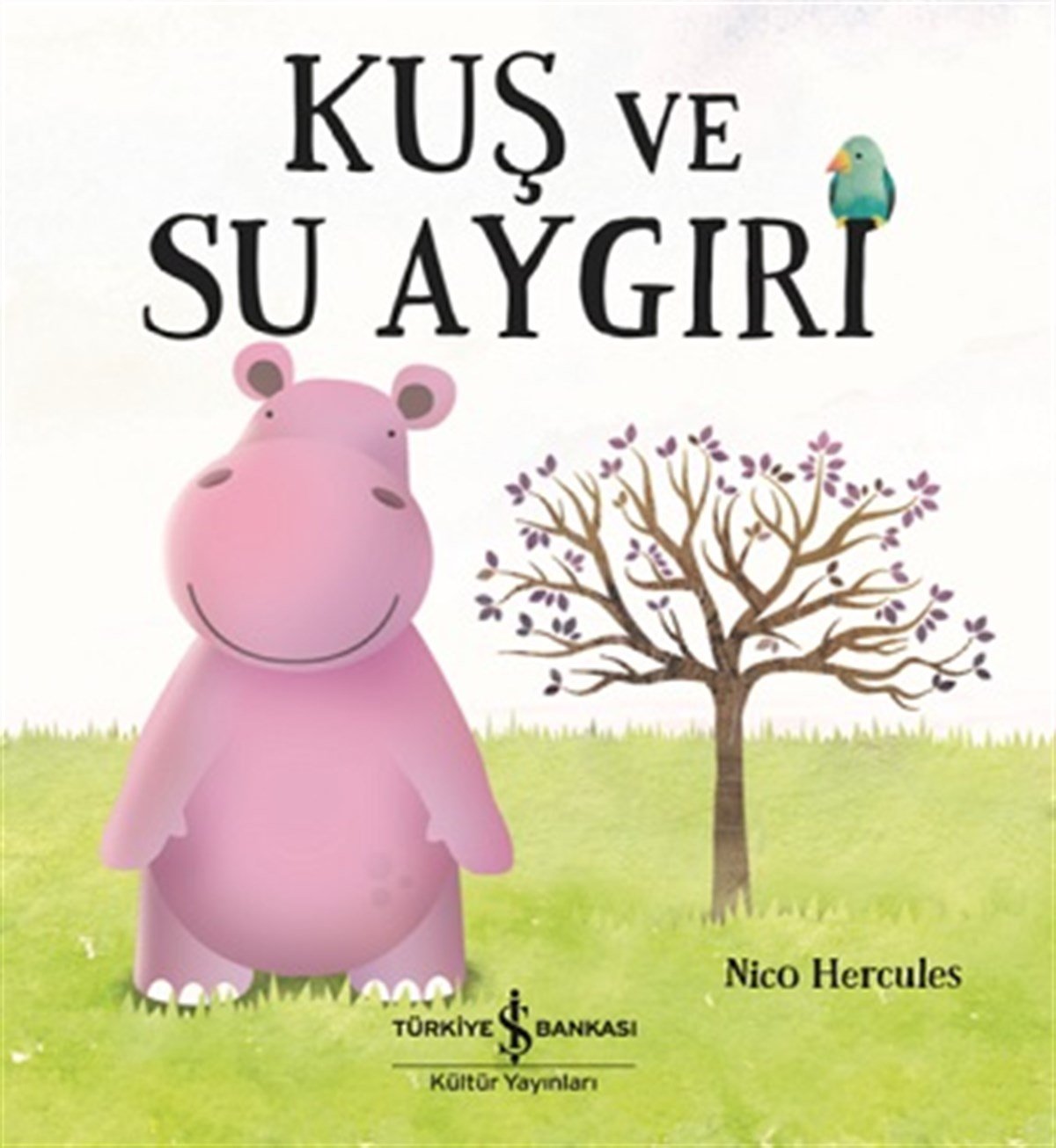 Kuş Ve Su Aygırı