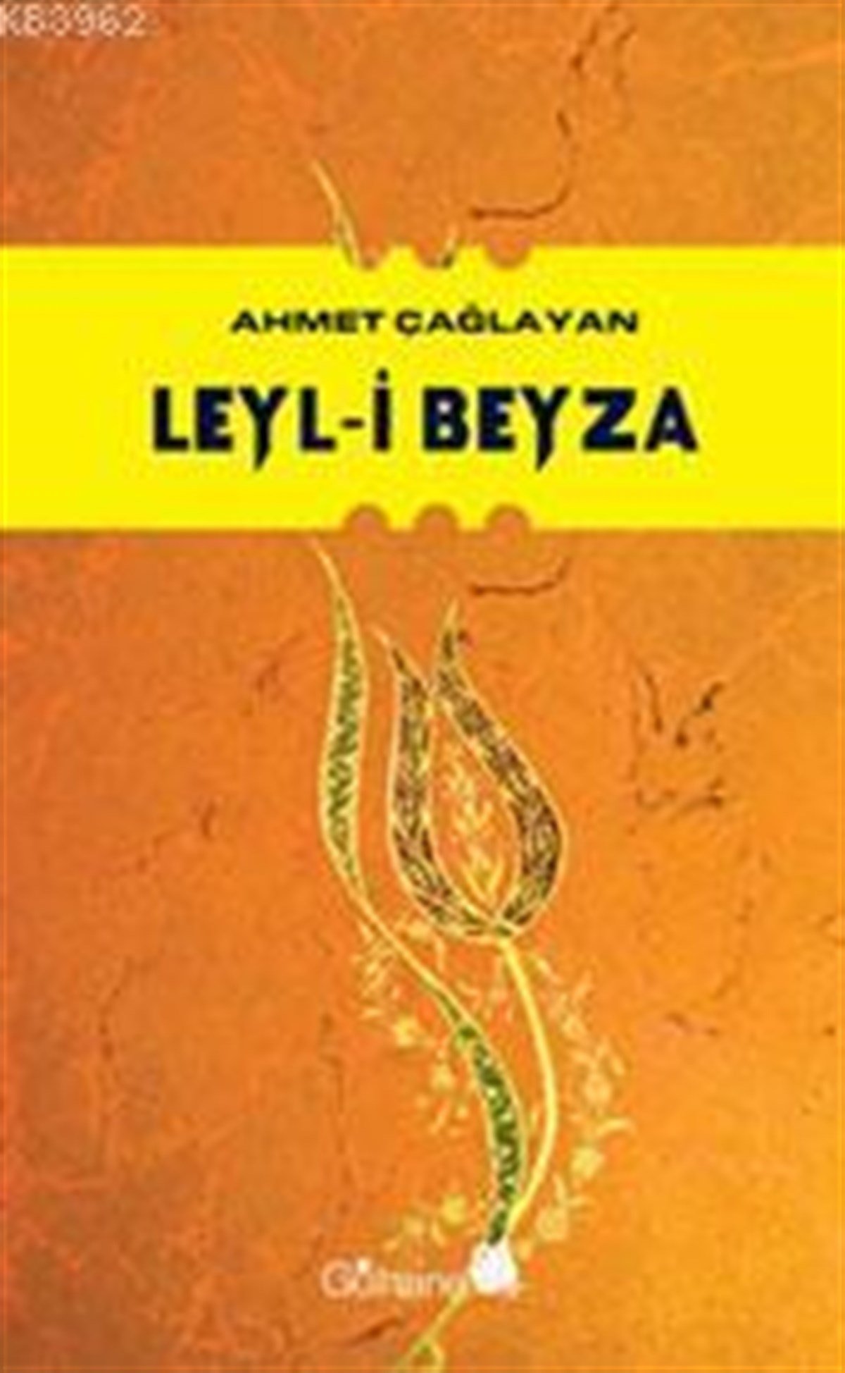 Leyl-i Beyza