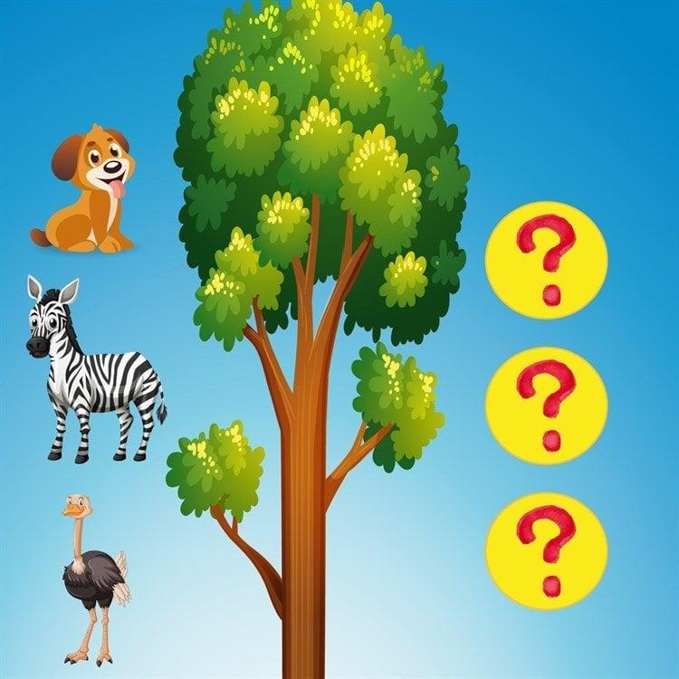 Math Forest En Eğlenceli Matematik Oyunu