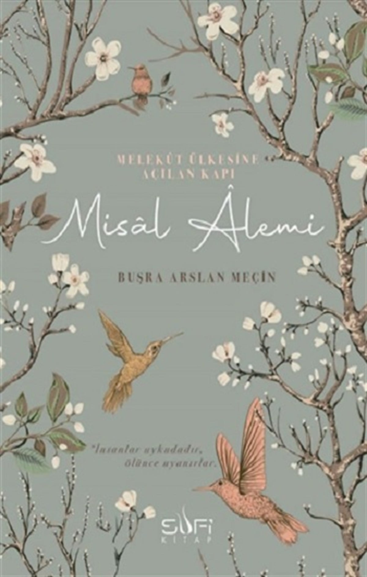 Misal Alemi
