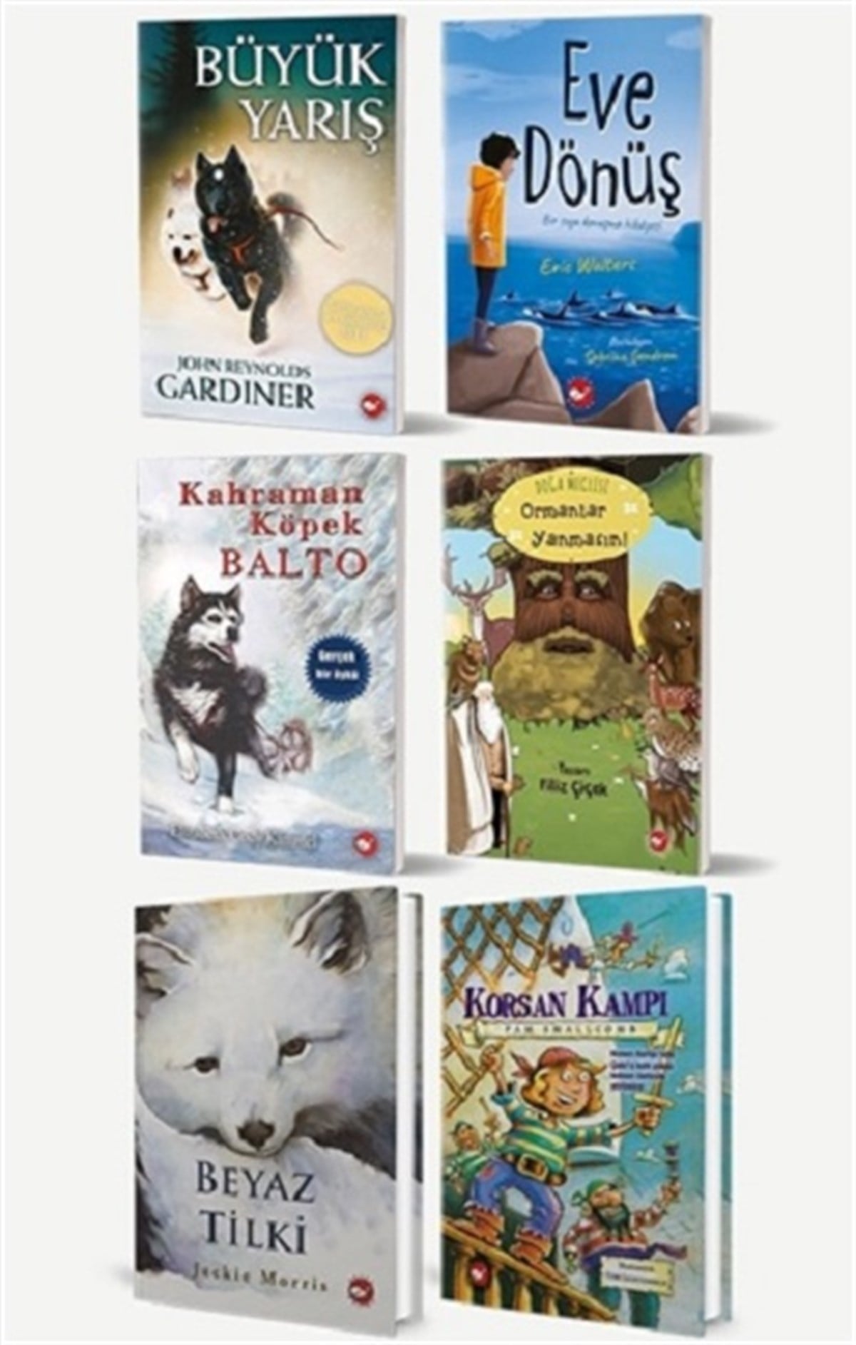 Okullarda Okutulan 3. Sınıf Kitap Seti (6 Kitap Takım)