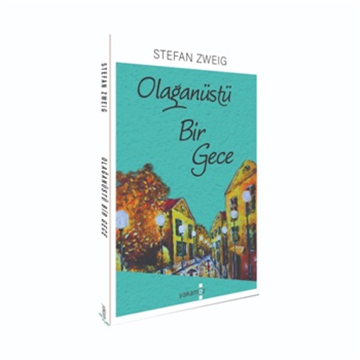 Olağan Üstü Bir Gece