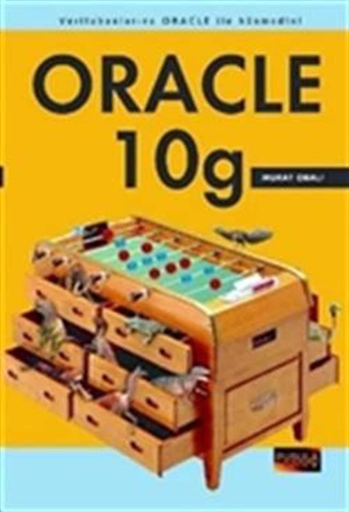 ORACLE 10g