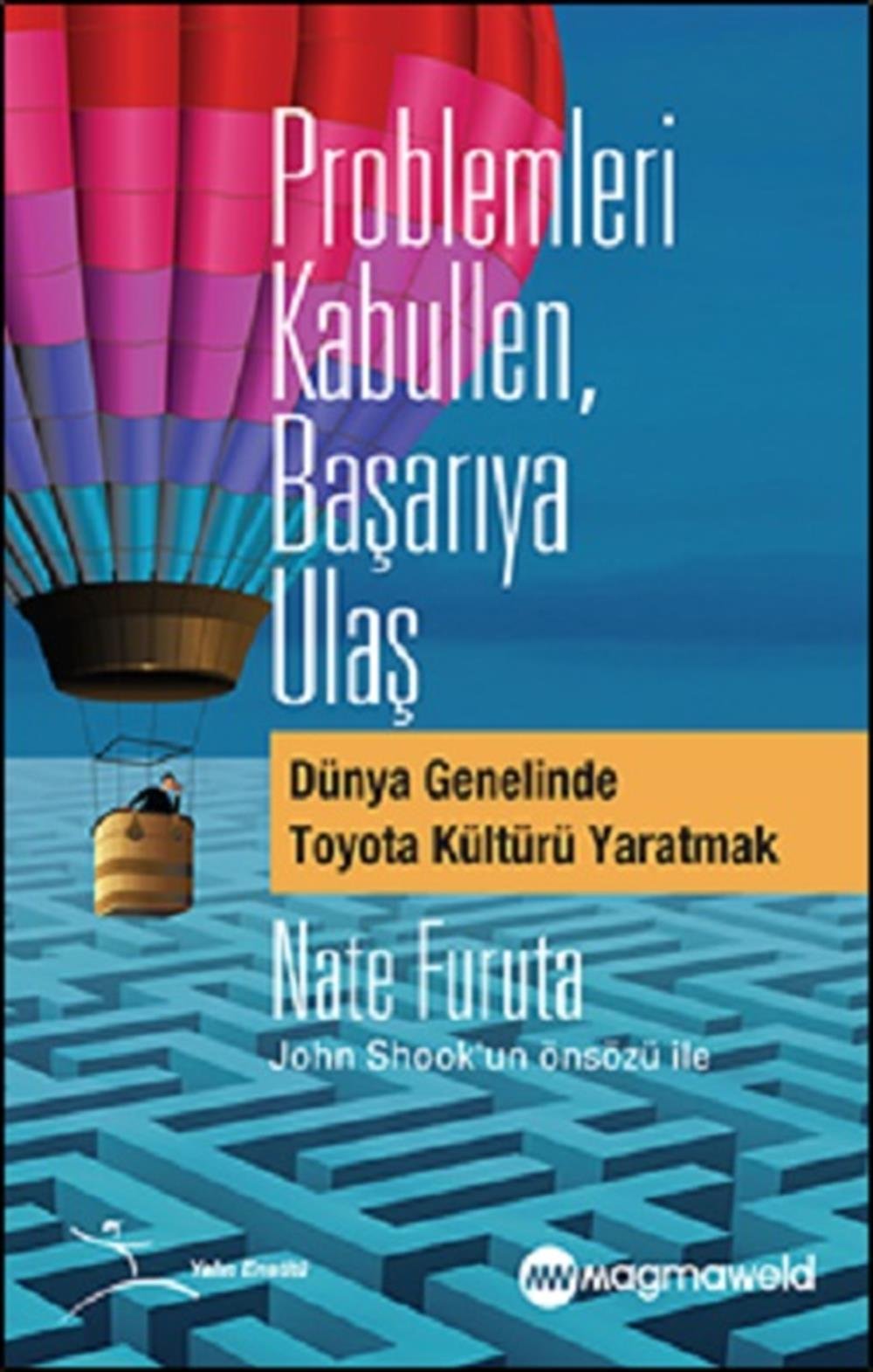 Problemleri Kabullen, Başarıya Ulaş
