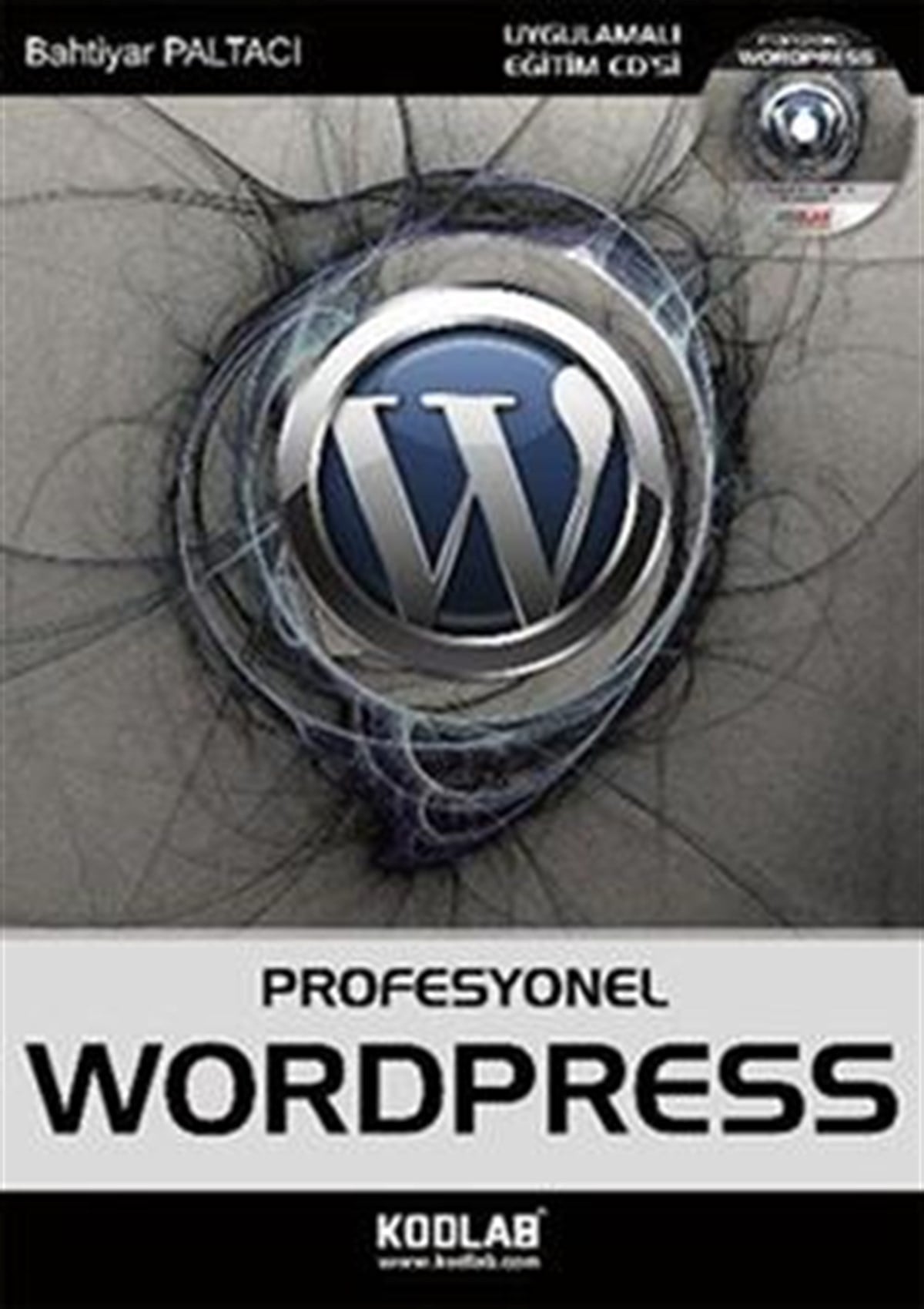 Profesyonel WordPress