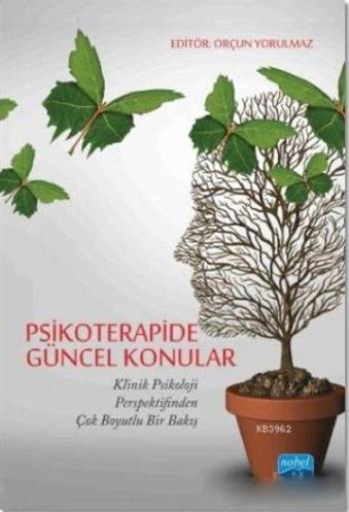 Psikoterapide Güncel Konular (Klinik Psikoloji Perspektifinden Çok Boyutlu Bir Bakış)