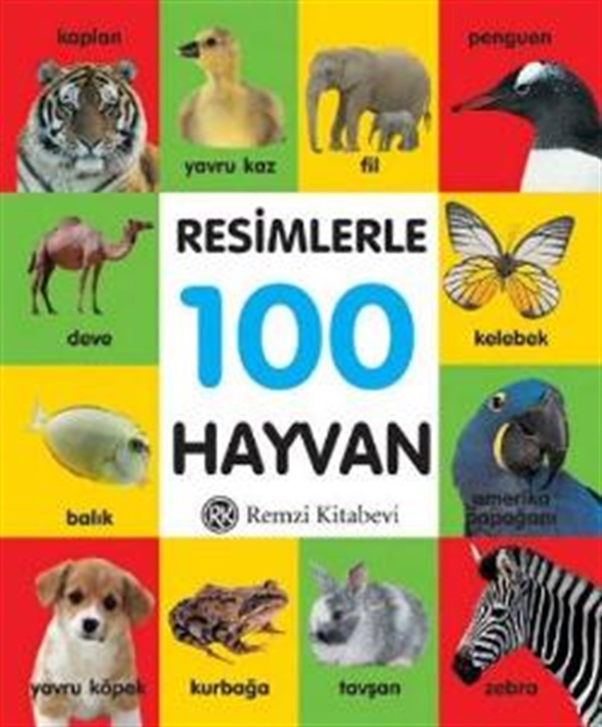 Resimlerle 100 Hayvan (Küçük Boy)