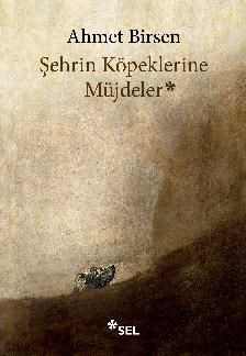 Şehrin Köpeklerine Müjdeler