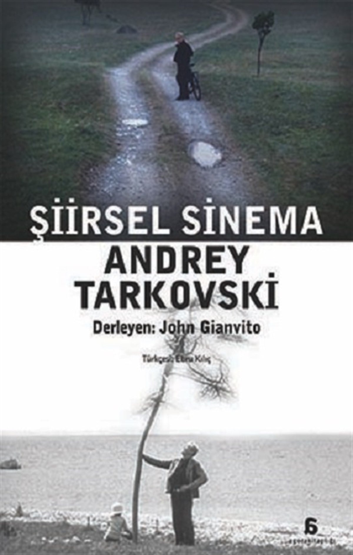 Şiirsel Sinema