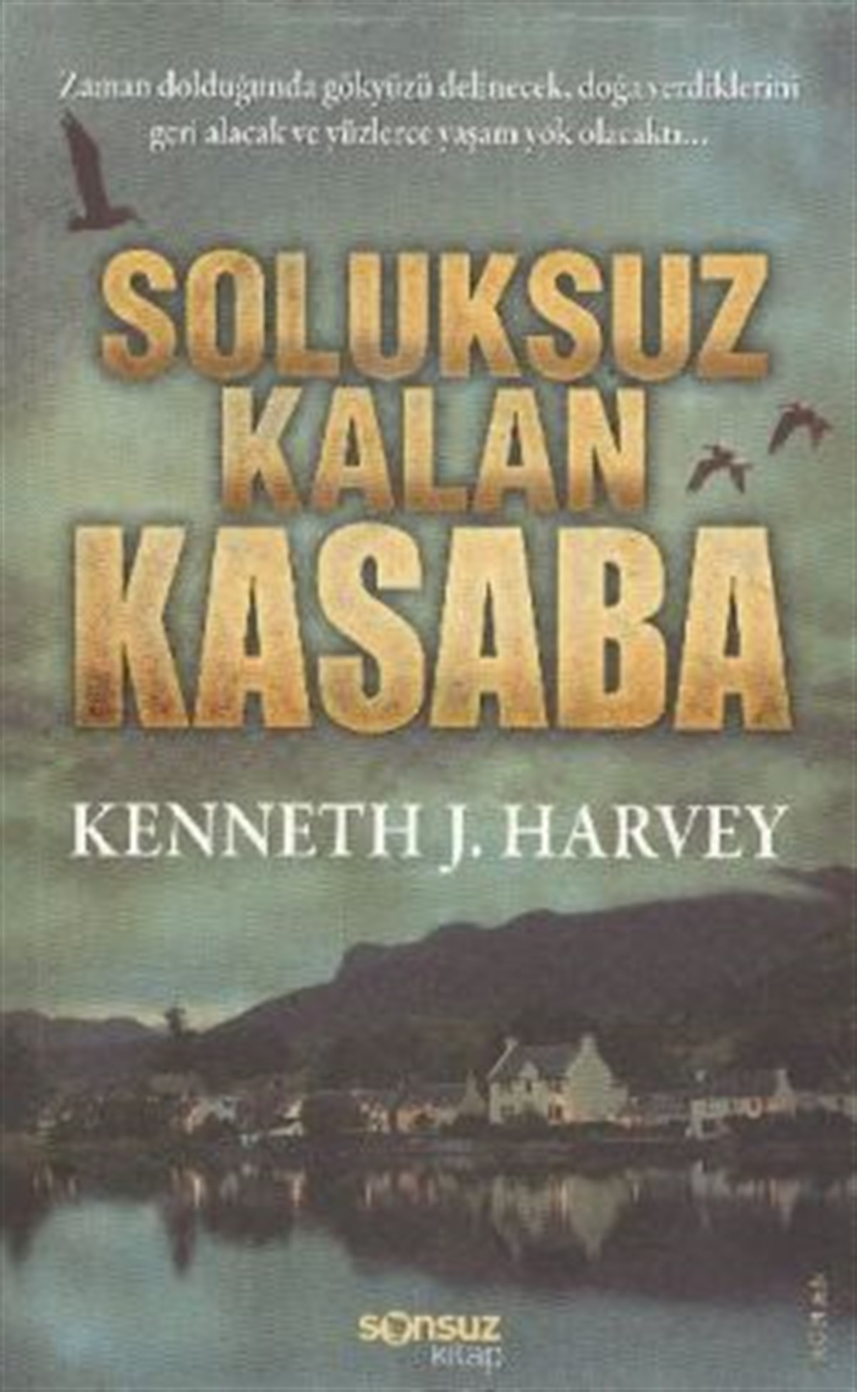 Soluksuz Kalan Kasaba