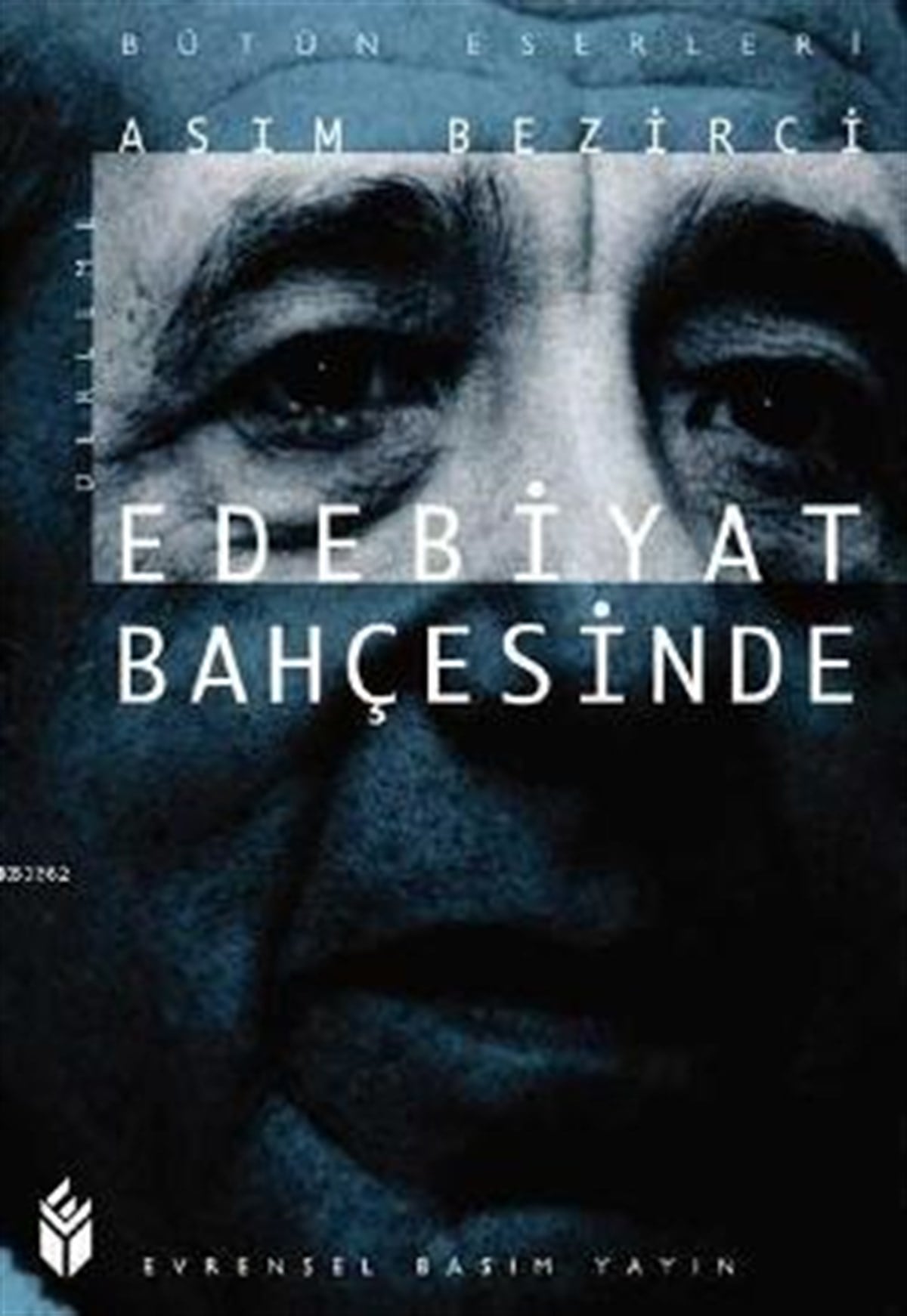 Sosyalist Açıdan Toplum, Sanat, Eleştiri