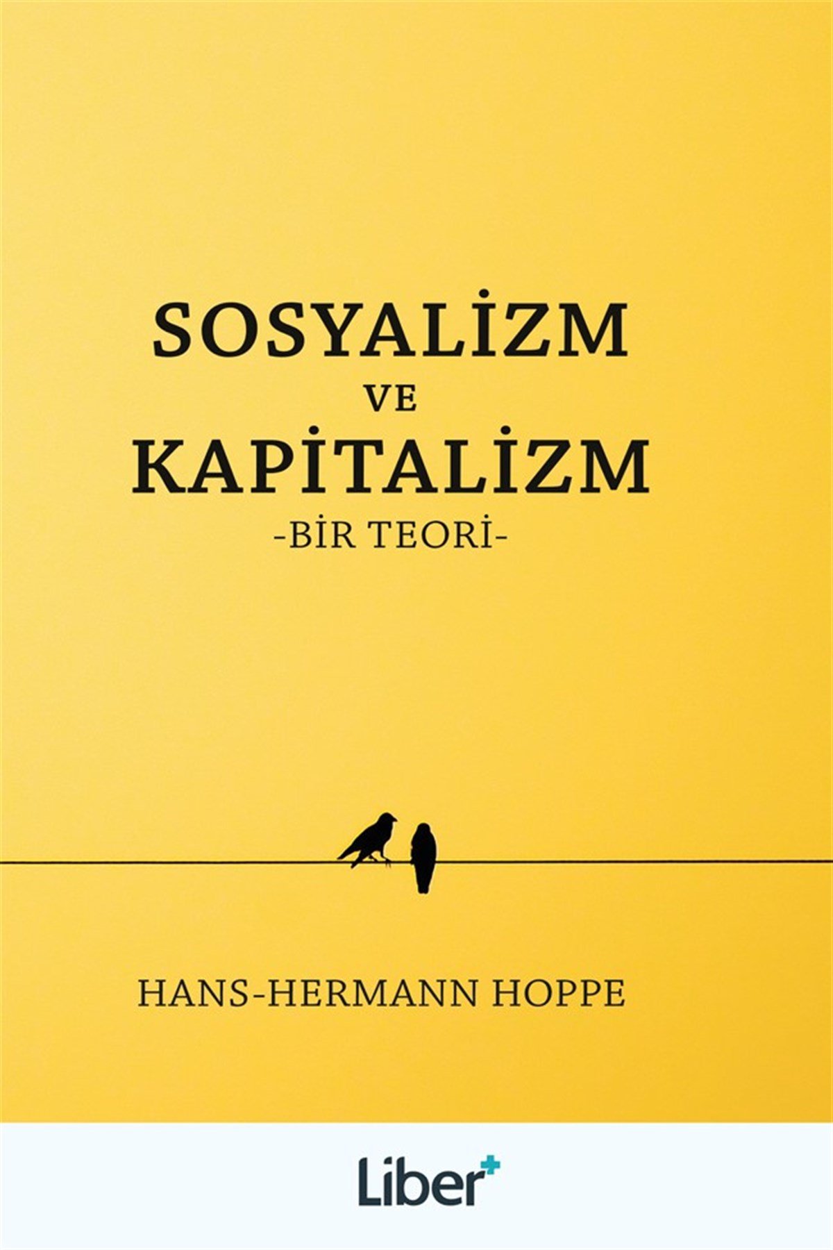 Sosyalizm ve Kapitalizm