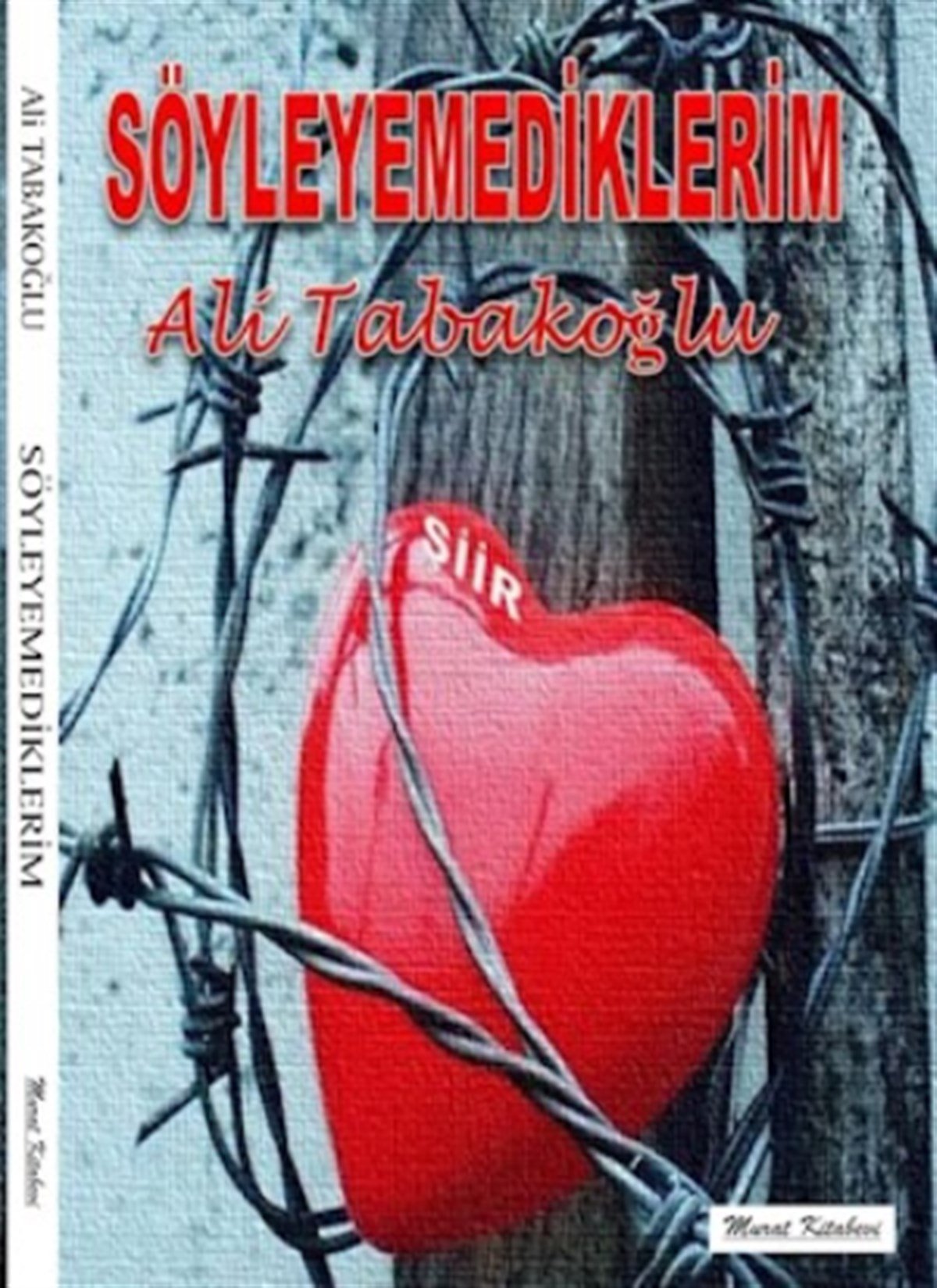 Söyleyemediklerim