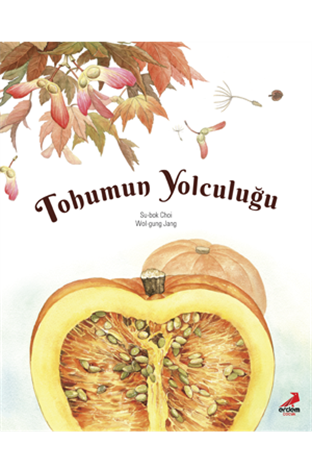 Tohumun Yolculuğu