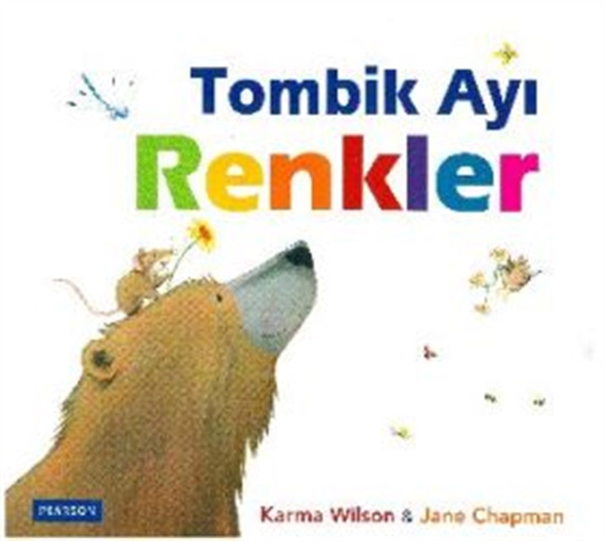 Tombik Ayı - Renkler