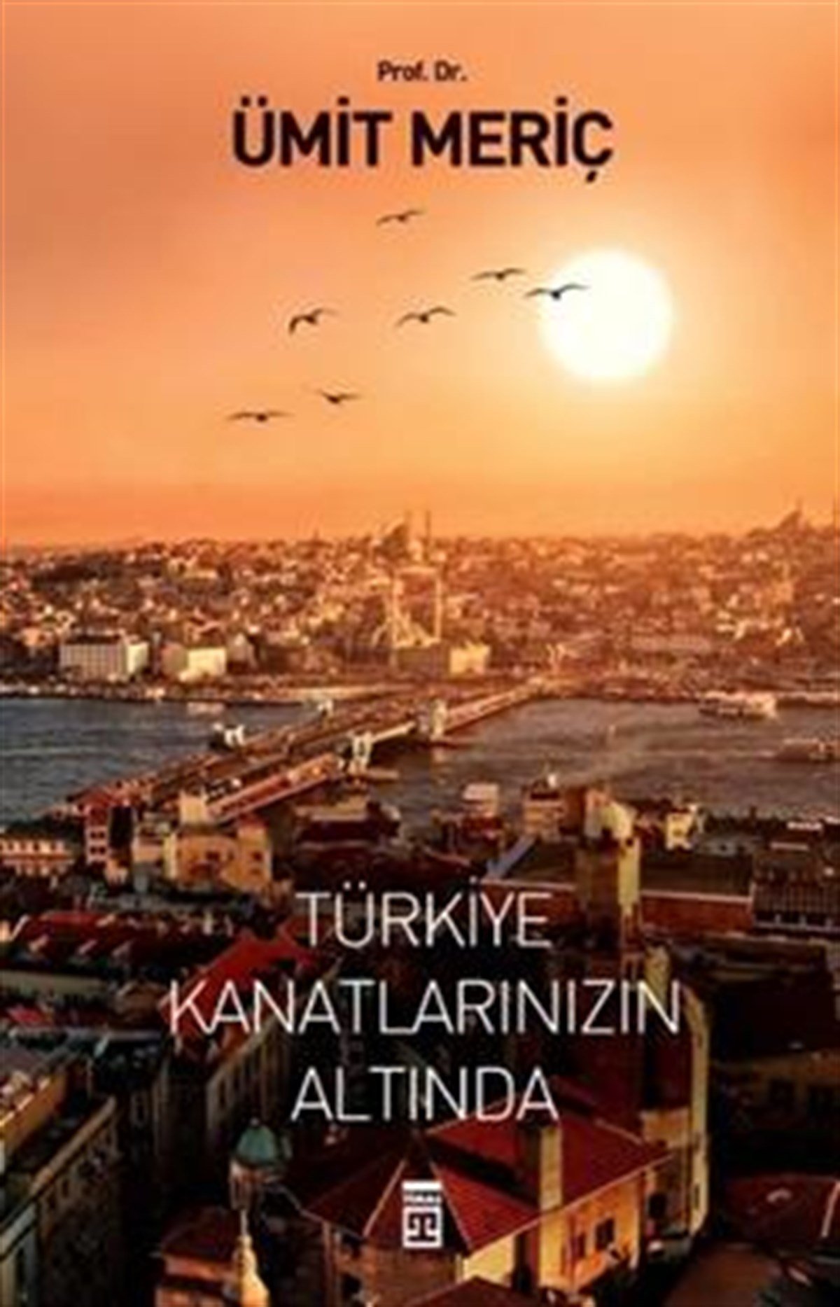 Türkiye Kanatlarınızın Altında