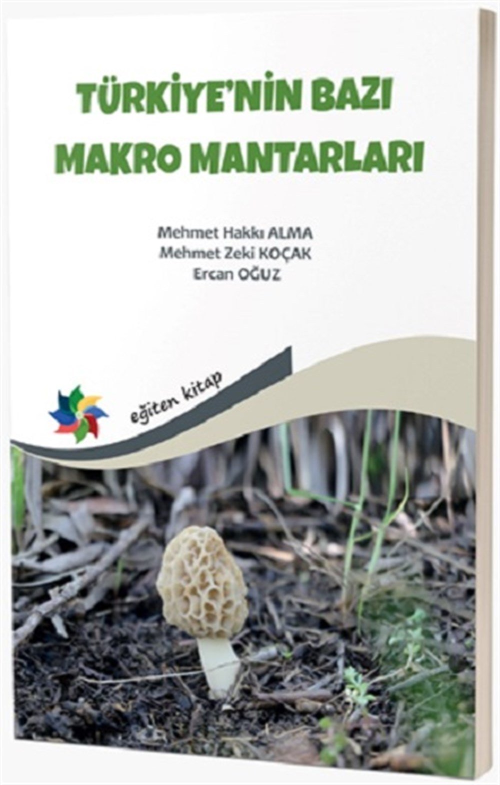Türkiye'nin Bazı Makro Mantarları