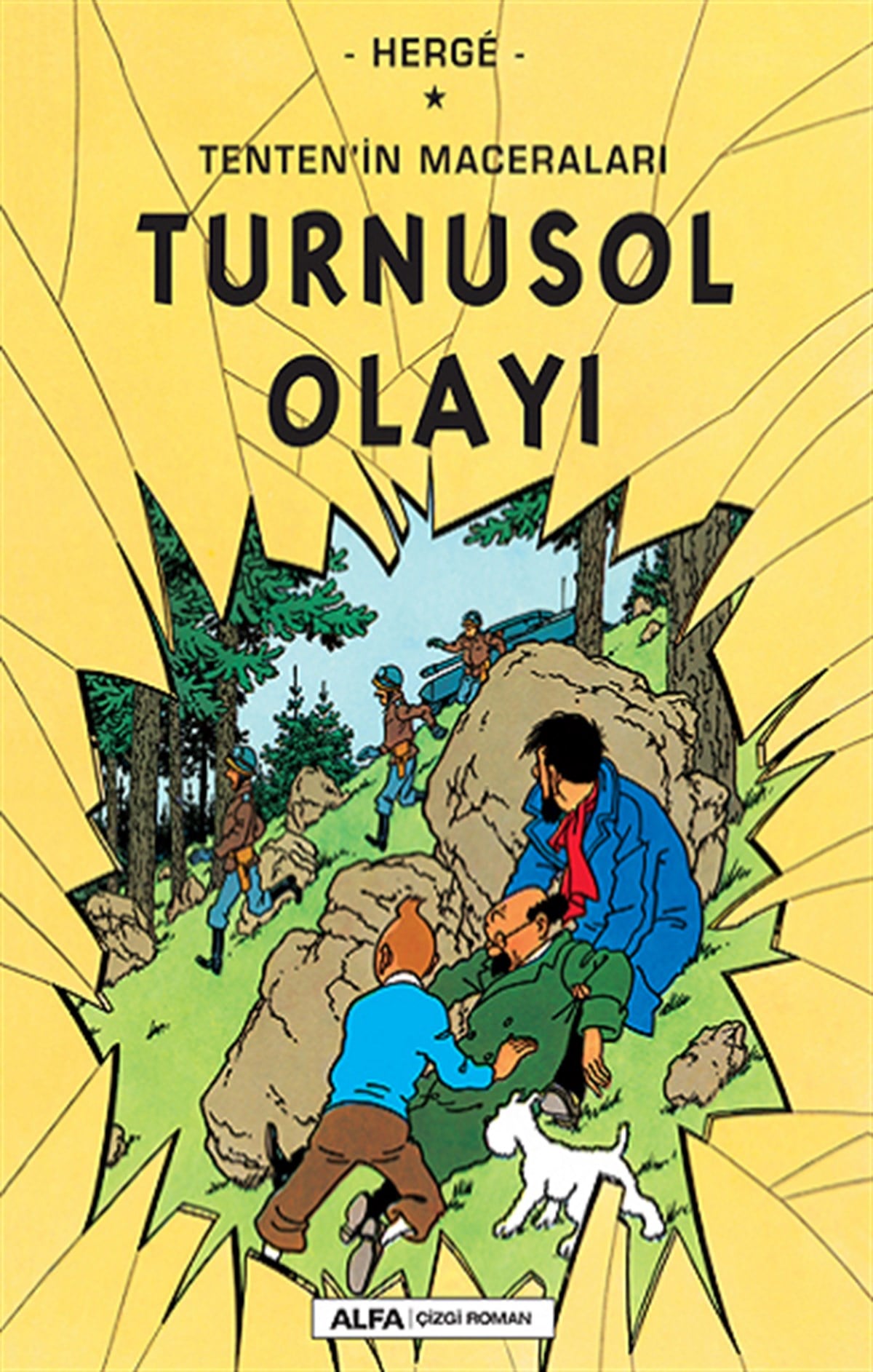 Turnusol  Olayı