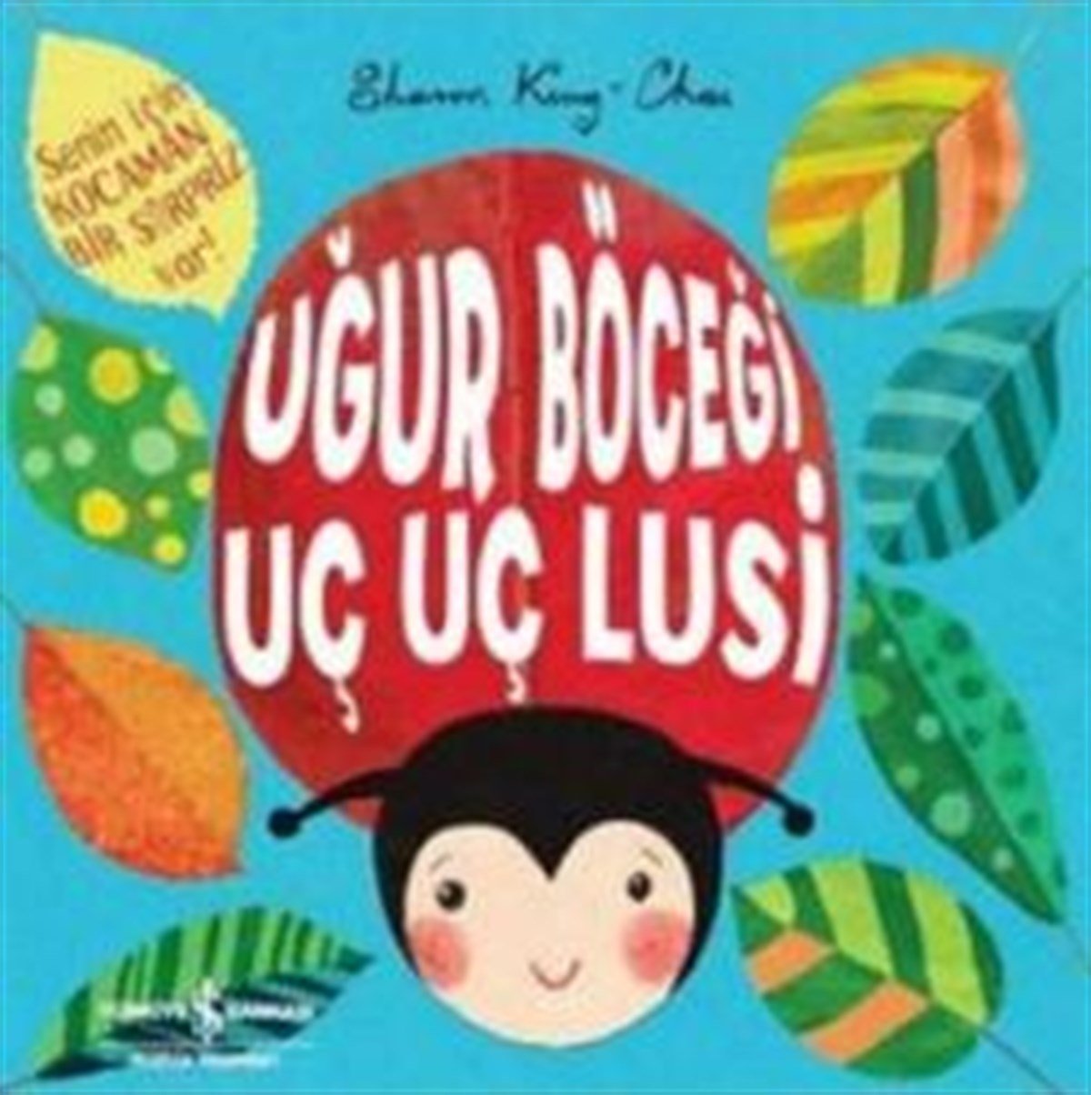 Uğur Böceği Uç Uç Lusi